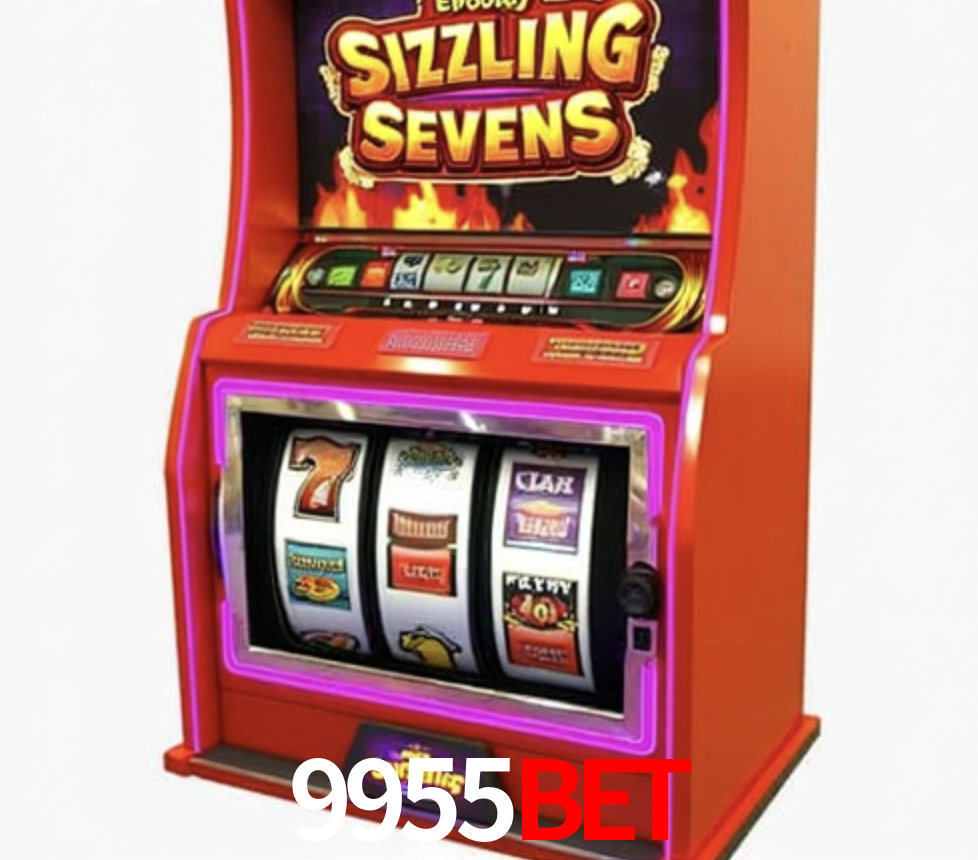 Security Systems 9955Bet